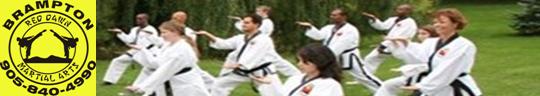 reddawnmartialarts.com Blog